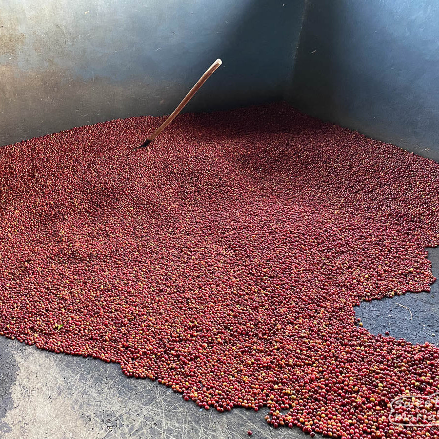 Burundi Nemba Natural