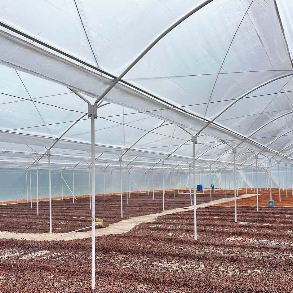 Campo Hermoso - Watermelon Co-ferment