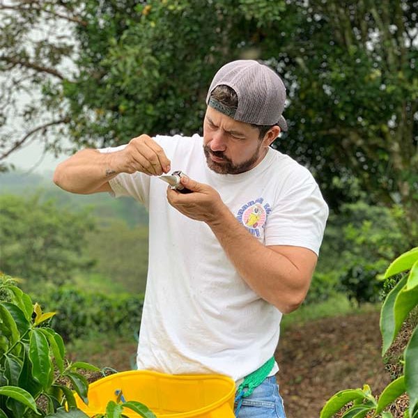 Colombia Peach Co - Ferment - No6 Coffee Co.