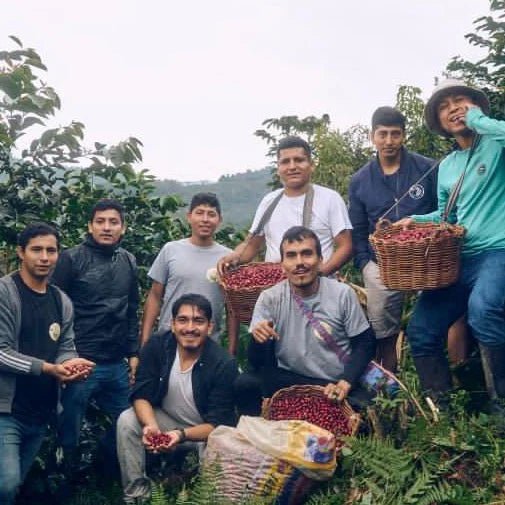 Peru El Morito Natural - No6 Coffee Co.