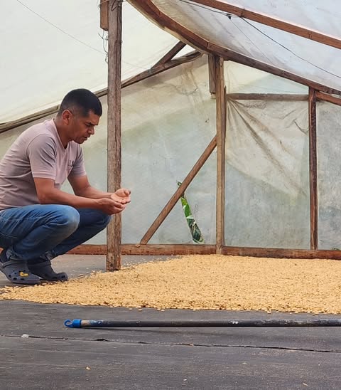 Colombia La Terraza Washed - No6 Coffee Co.