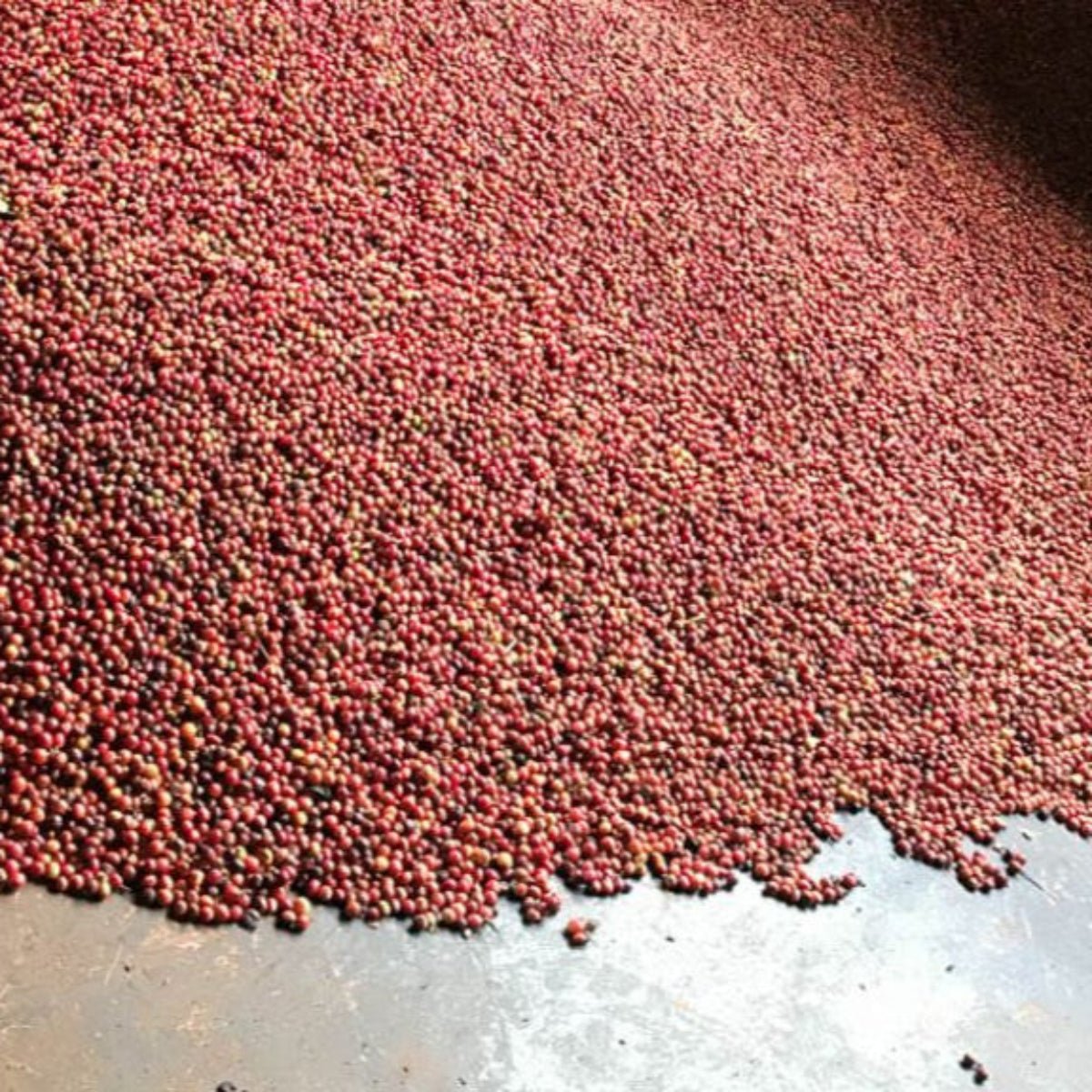 Kenya Rukira Washed - No6 Coffee Co.