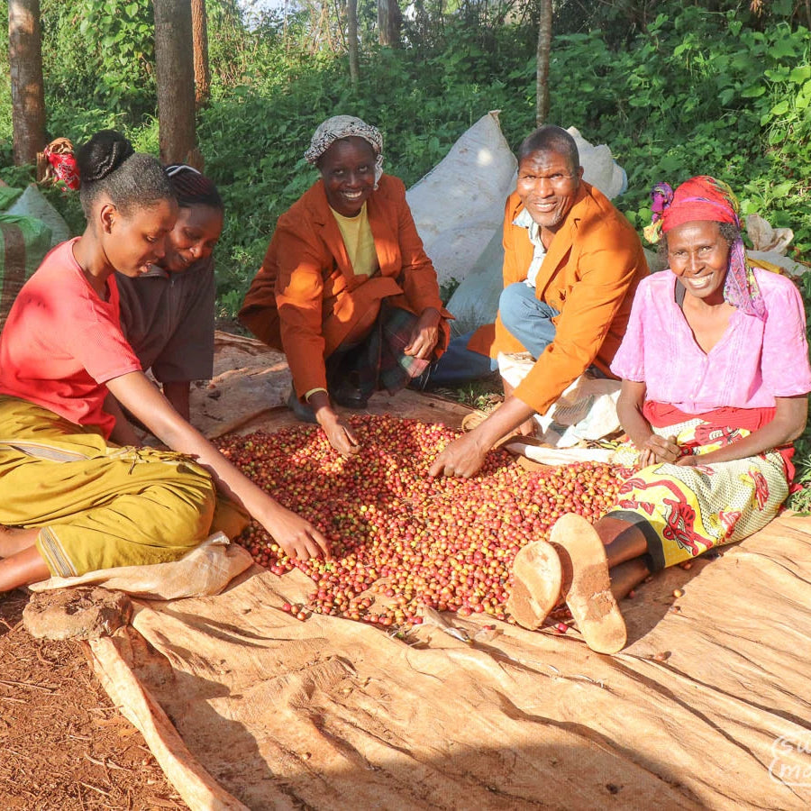 Kenya Nyeri Gathaithi