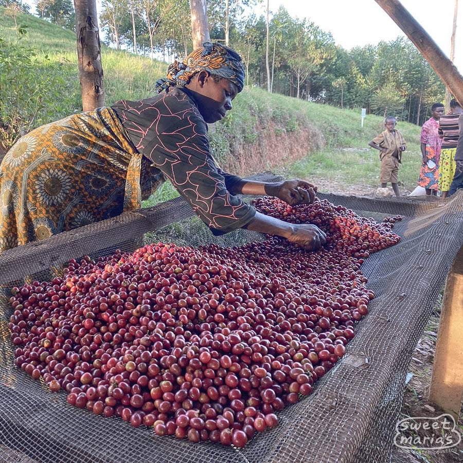 Burundi Nemba Natural