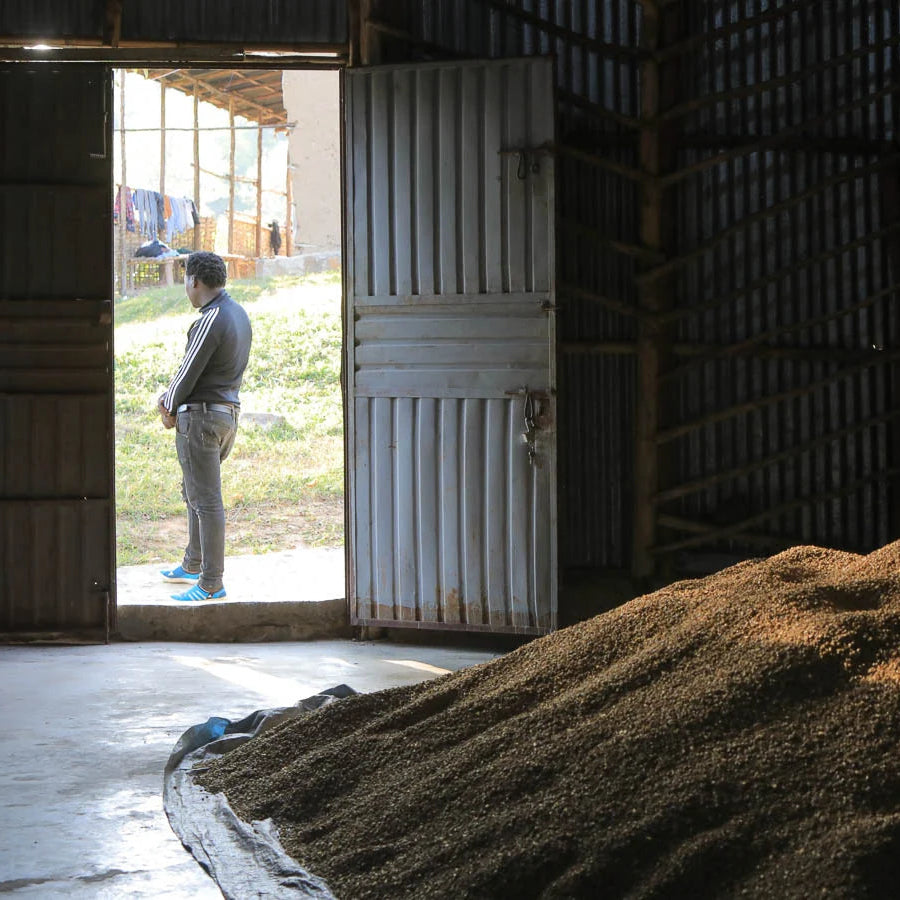 Ethiopia Uraga Haro