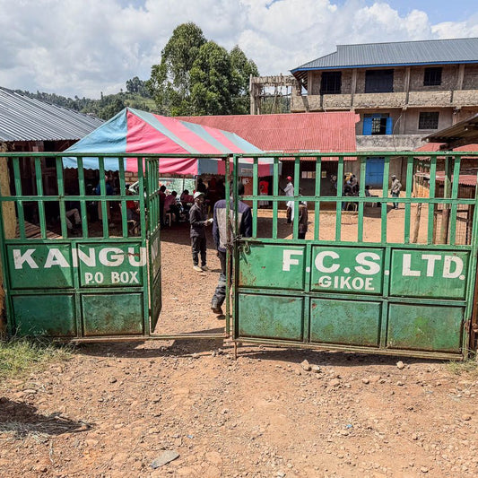 Kenya Muranga Kangunu